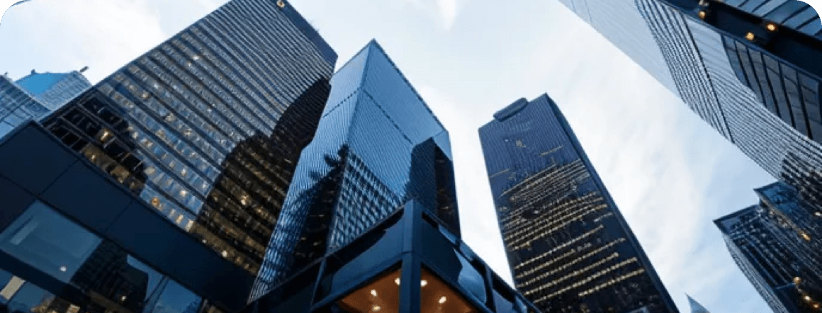 发展时间线